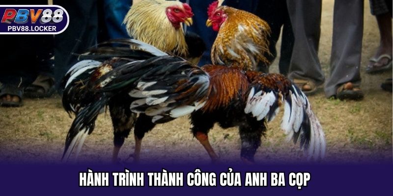 Hành trình đi đến thành công của Anh Ba Cọp 