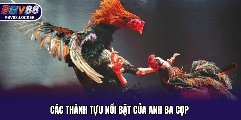 Thành công trong cá cược của ba cọp