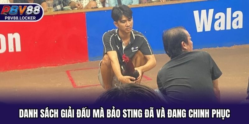 Danh sách giải đấu mà Bảo Sting đã và đang chinh phục
