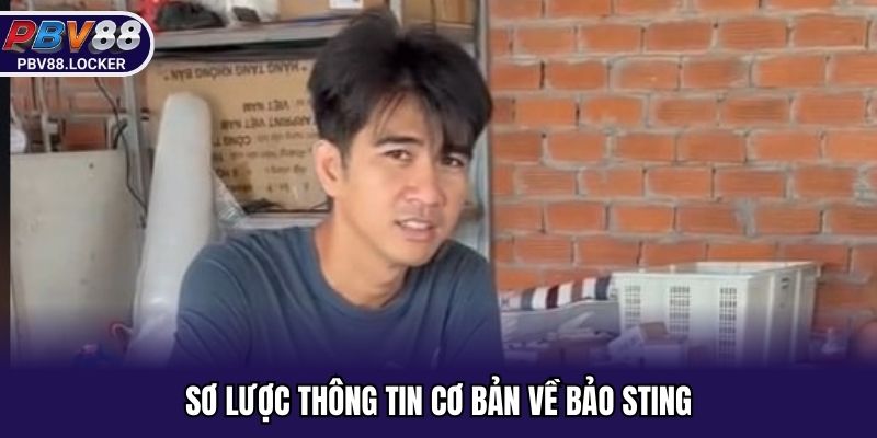 Sơ lược thông tin cơ bản về Bảo Sting