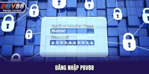Đăng Nhập PBV88 - Hướng Dẫn Chi Tiết Cho Các Tân Thủ