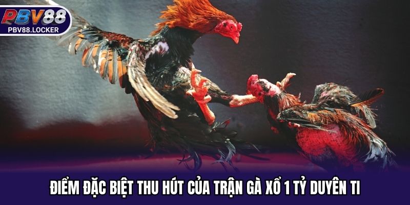 Điểm đặc biệt thu hút của trận gà xổ 1 tỷ duyên ti