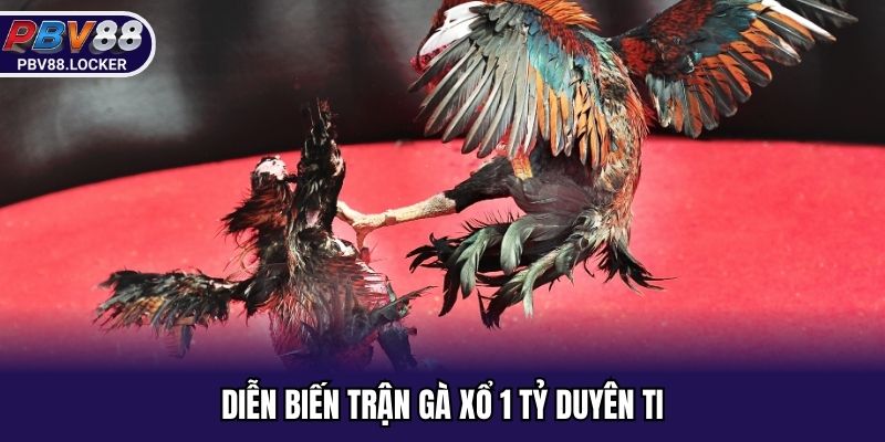 Diễn biến trận gà xổ 1 tỷ duyên ti