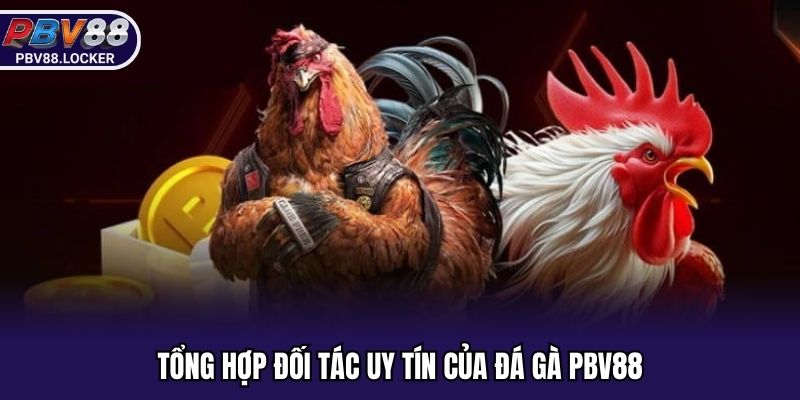 Tổng hợp đối tác uy tín của đá gà PBV88