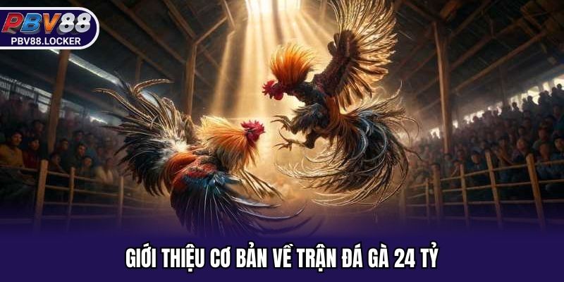 Giới thiệu cơ bản về trận đá gà 24 tỷ