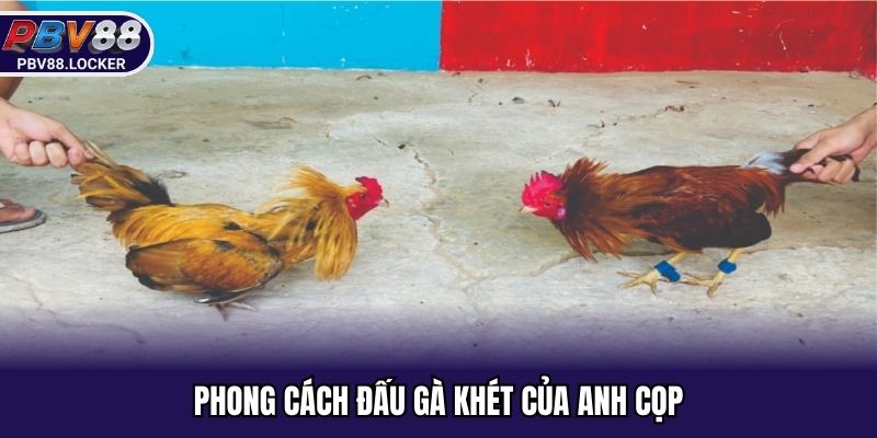 Phong cách đấu gà khét của anh Cọp