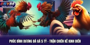 Phúc Bình Dương Đá Gà 5 Tỷ - Trận Chiến Kê Kinh Điển