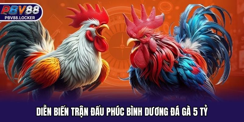 Diễn biến trận đấu Phúc Bình Dương đá gà 5 tỷ