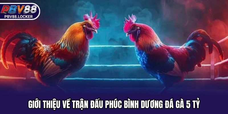 Giới thiệu về trận đấu Phúc Bình Dương đá gà 5 tỷ
