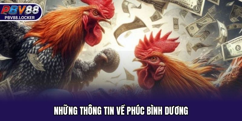 Những thông tin về Phúc Bình Dương