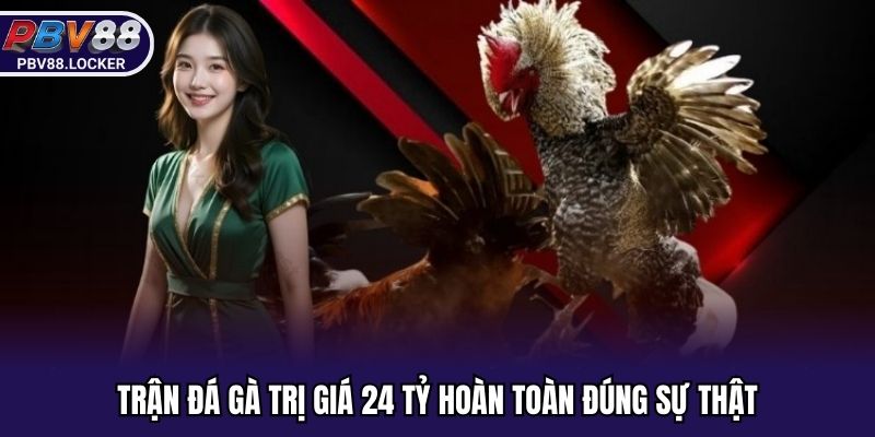 Trận đá gà trị giá 24 tỷ hoàn toàn đúng sự thật