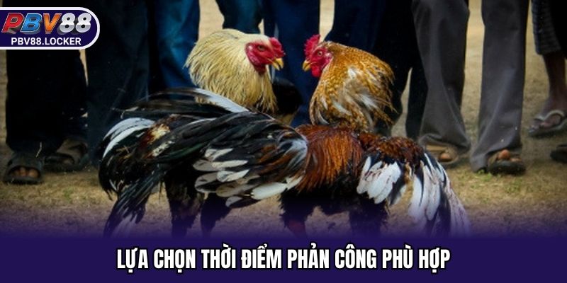 Huấn luyện chọn thời điểm phản công phù hợp